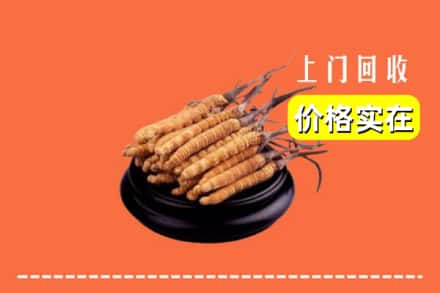 扬州市仪征回收冬虫夏草
